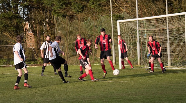 开拓者替补中锋投射出色，但防守和篮板表现令人堪忧