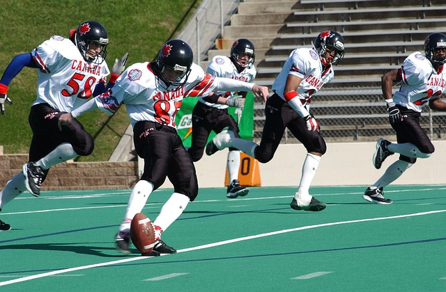 球迷：这就是我热爱这项运动的理由