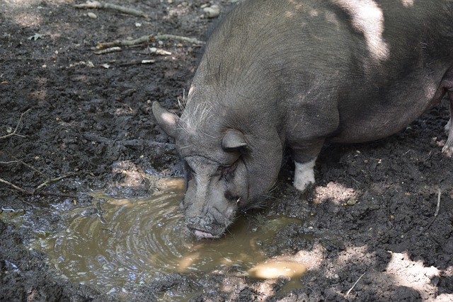 摩根：C罗专访分为三个部分，周四、周五将发布剩余两个部分